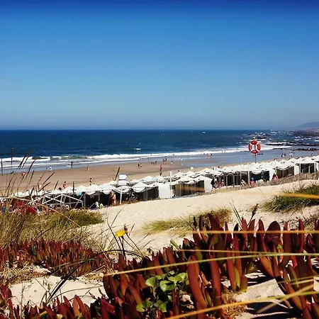 3z - Centre De Avec Vue Sur La