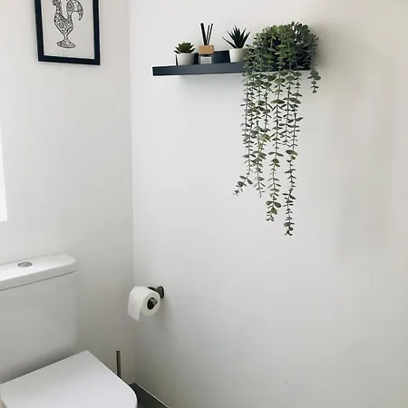 Apartamento 3z - Centre De Avec Vue Sur La Esposende