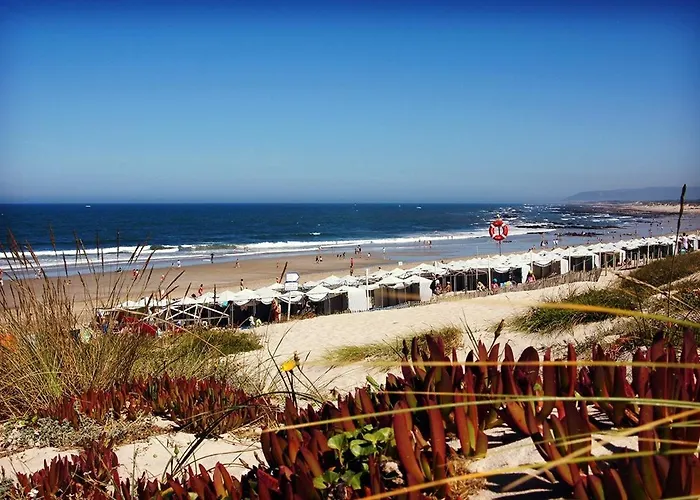 Daire 3z - Centre De Avec Vue Sur La Esposende